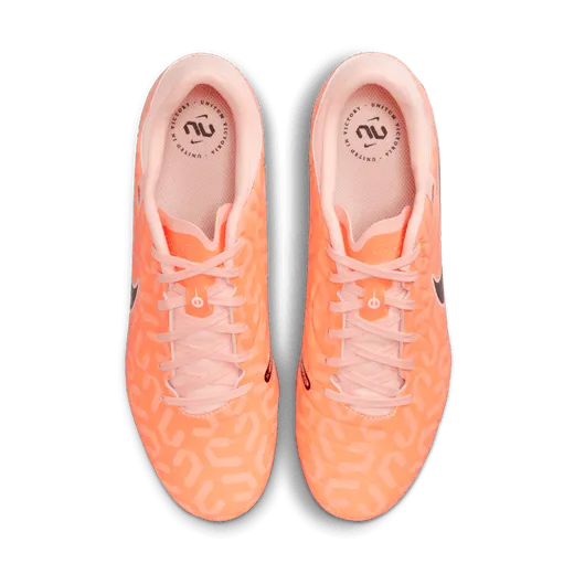 NIKE Legend 10 academy fg/mg wc